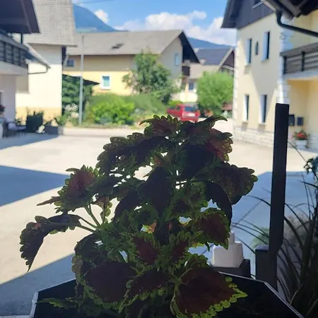 Alojamento de Acomodação e Pequeno-almoço & Kepic, Airport Cerklje na Gorenjskem