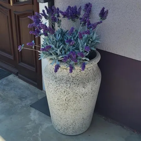 & Kepic, Airport Nocleg ze śniadaniem