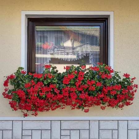 & Kepic, Airport Cerklje na Gorenjskem