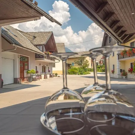 & Kepic, Airport Bed and breakfast Cerklje na Gorenjskem