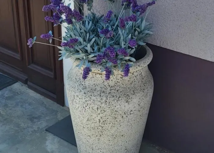 & Kepic, Airport Bed & Breakfast