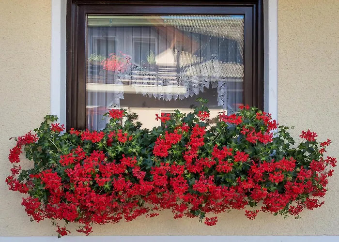 & Kepic, Airport Cerklje na Gorenjskem