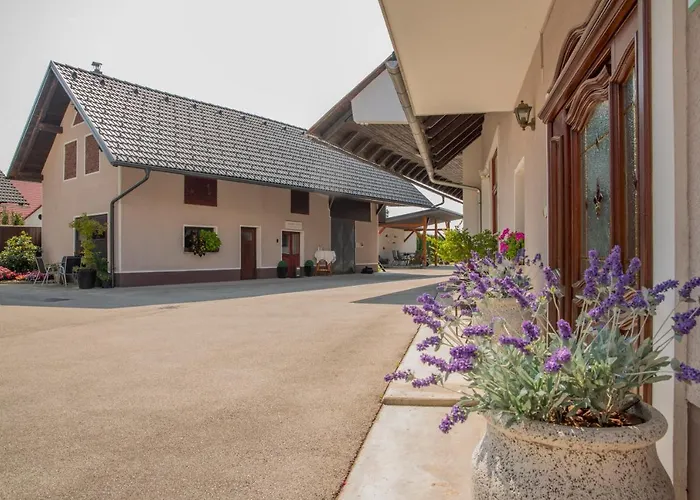 Bed & Breakfast & Kepic, Airport 3*